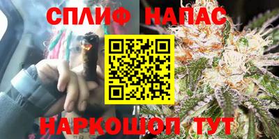 молекула духа Бузулук