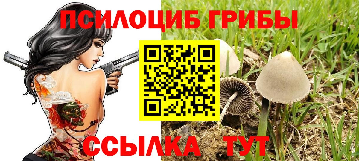 Галлюциногенные грибы прущие грибы  Вход с VPN  Электросталь 